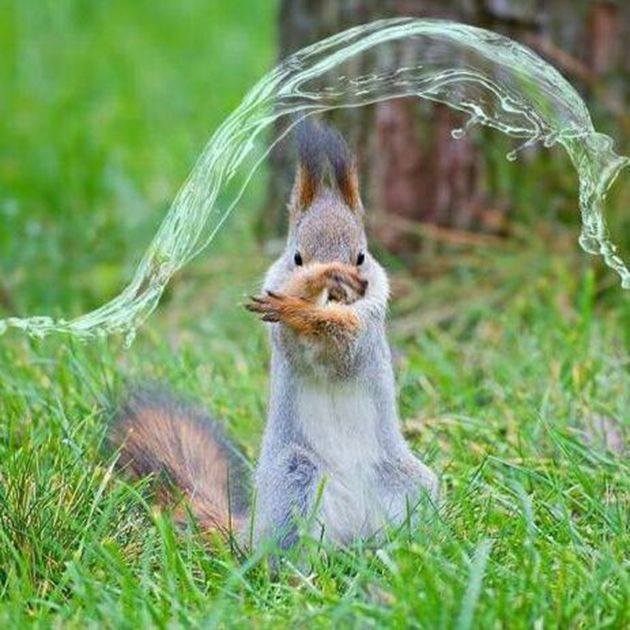 Matt_HQD's tweet photo. @welcomet0nature #artmartial #HopQuyenDao le #TaiChiChuan c'est aussi ça @Matt_HQD https://t.co/FGZUXetcYH