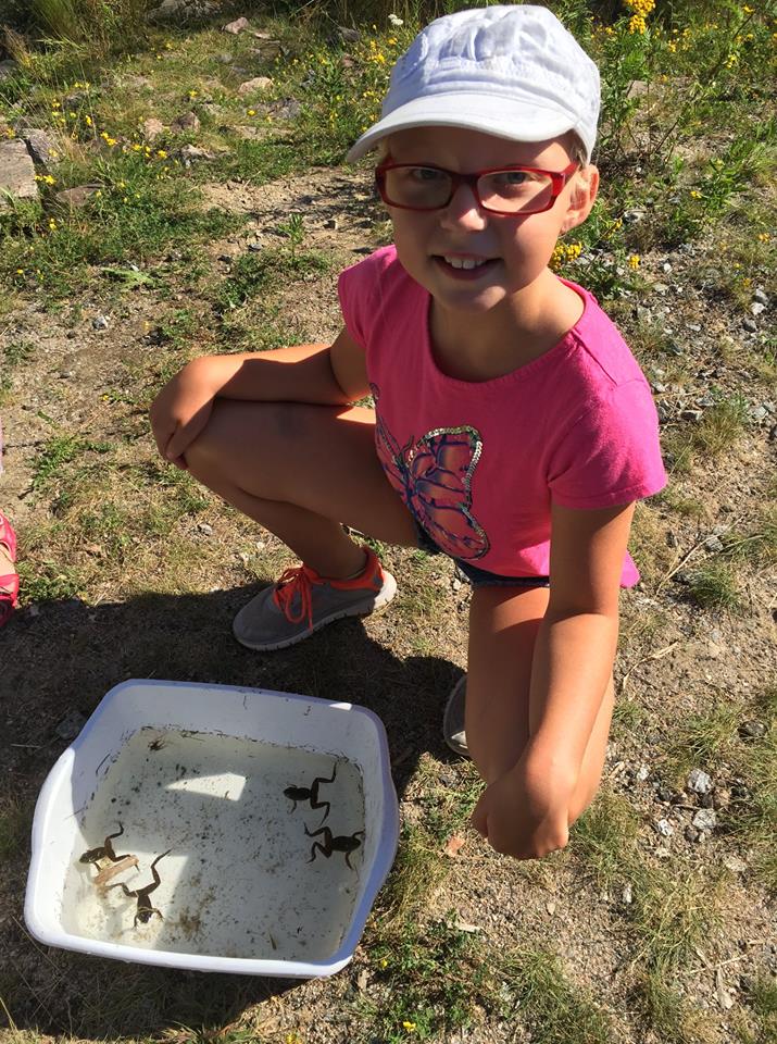 NipissingU's tweet photo. Looking to provide a fun and science-based day camp opportunity for your children this summer? NU Science Explorations is planning another exciting summer for children to explore and engage in a wide range of science and technology related activities https://t.co/RrTkh7RWpV 💙💚 https://t.co/qFsocTRfCh