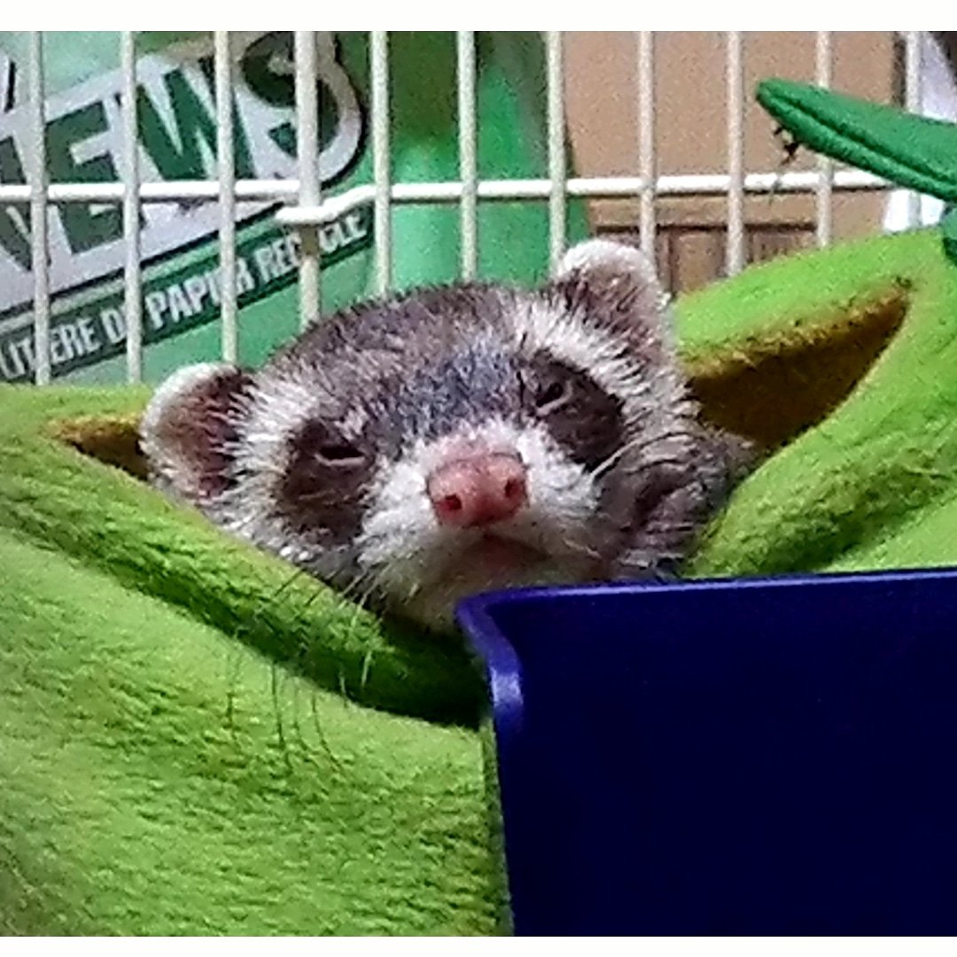 ふてくされてる顔