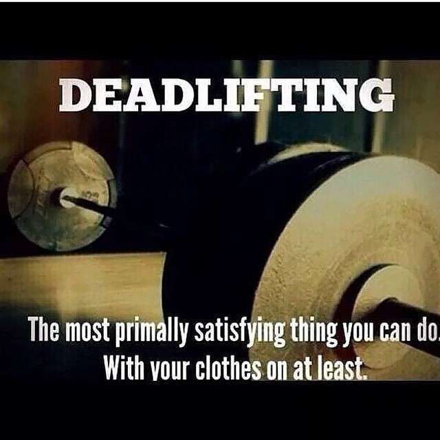 Gym & Fitness World tweet media