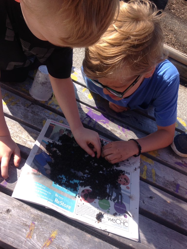 cobrasLS's tweet photo. Studying soil organic and non-organic in our garden and yard @accesscounty https://t.co/Wlk2KBrW3E