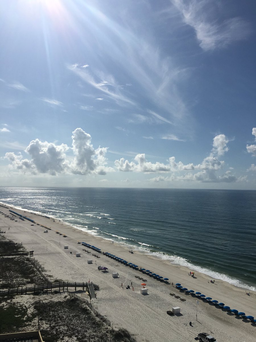 IUE_TFXC's tweet photo. Good Morning from Gulf Shores, Alabama!!!  Home of the 2018 NAIA Nationals Track &amp; Field Championships! @TrackNationUSA #NAIATrack #NAIAChampionships #GulfShores #RedWolfNation #TrackNation https://t.co/JchV4aimZV
