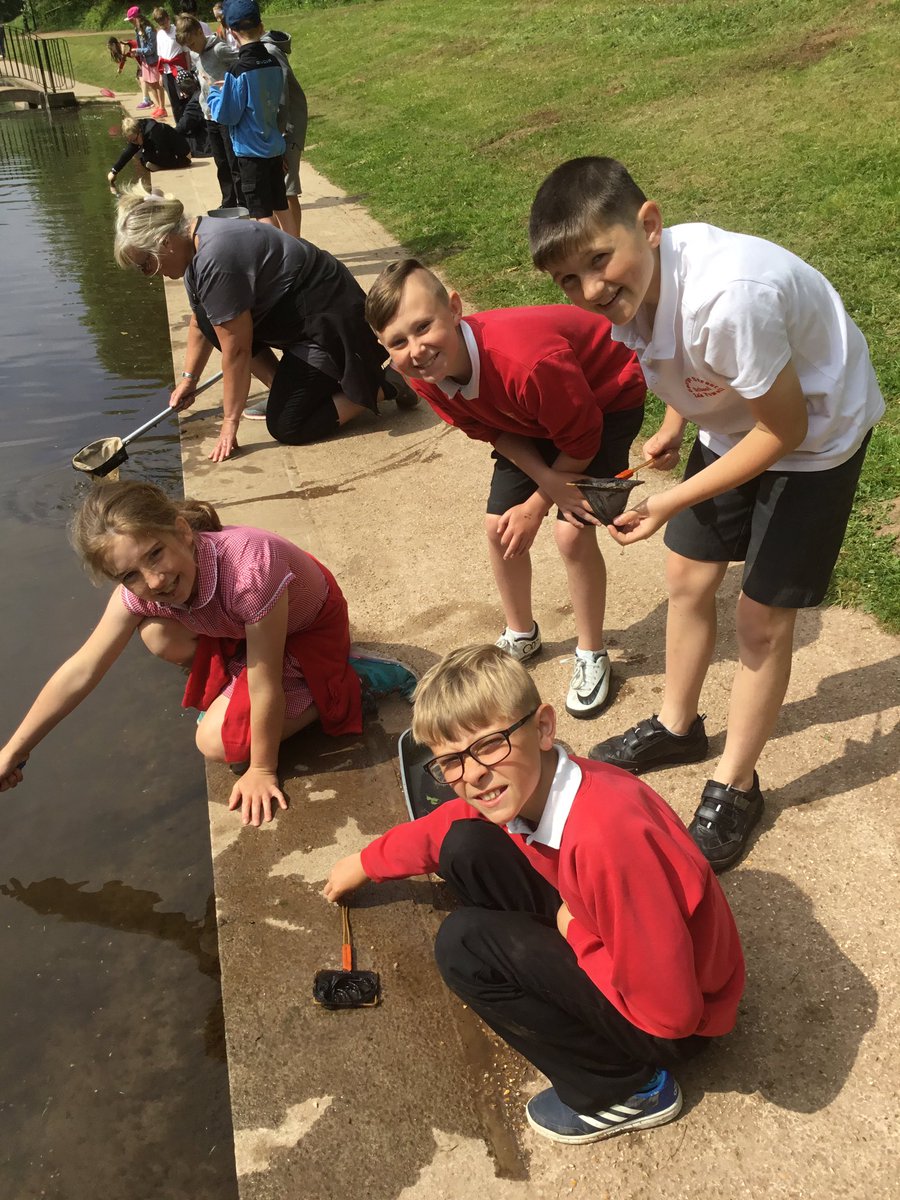 A morning of pond dipping in the sunshine!