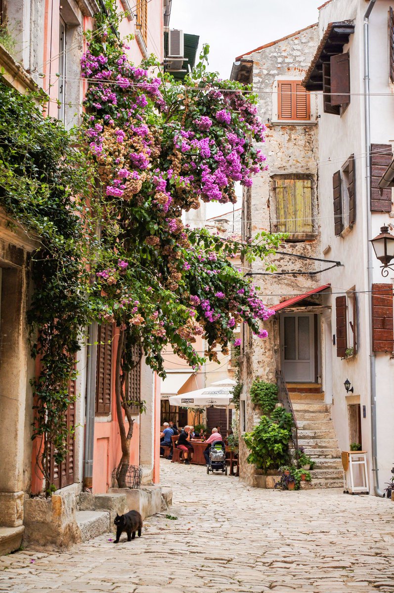 domagojsever's tweet photo. Beautiful streets of Rovinj... #istria #travel #natgeo #shareistria #oldtown #Rovinj https://t.co/yuRCQxpRTf
