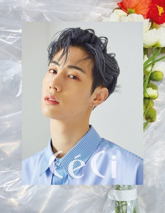 T_MB9397's tweet photo. พรีนิตยสาร Allure #BamBam /Ceci #Mark ฉบับเดือน มิถุนายน 2018
🐰Ceci #มาร์ค ปกwannaone ver.A/B 
เล่มละ 420฿(Reg.)/470฿ (EMS)
🐍Allure #แบมแบม 
เล่มละ 400฿(Reg.)/450฿(EMS)
มัดจำ 250 ฿
สนใจDMนะค่ะ
#ตลาดนัดPRODUCE101
#ตลาดนัดอากาเซ่
#ตลาดนัดวนว #PremiosMTVMiaw  #MTVLAKPOPGOT7 #GOT7 https://t.co/WxhpkTmqXb