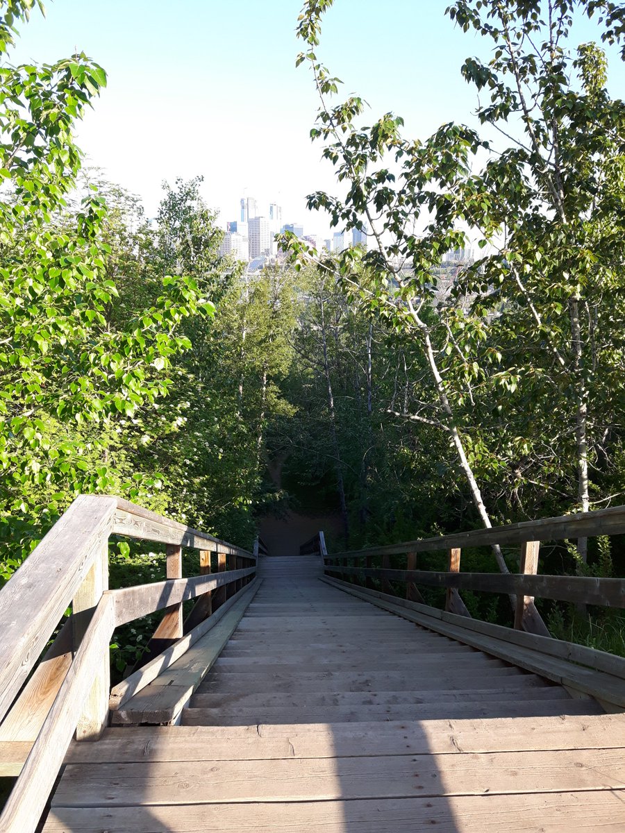 activeYEG tweet picture