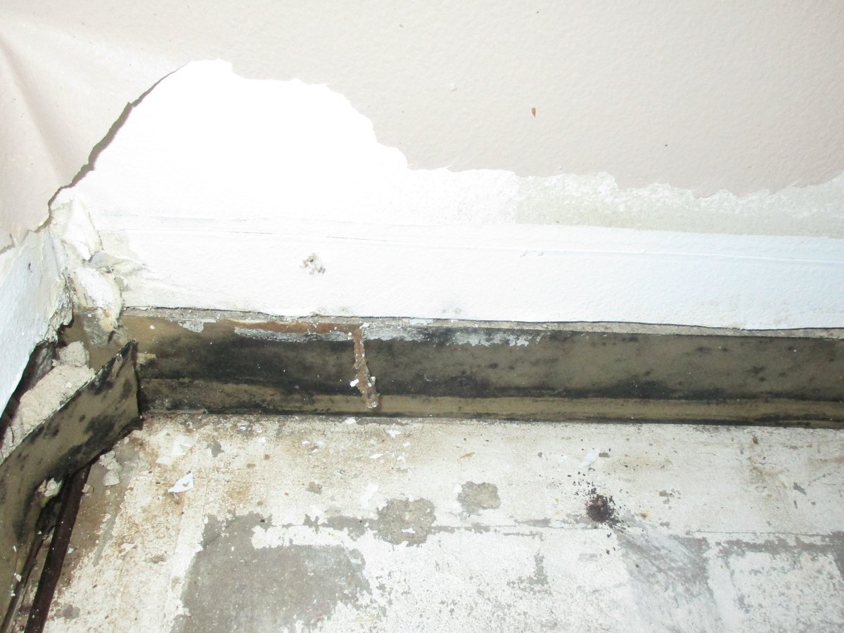 DryTech24's tweet image. Just a small water leak in a few days can cause this much damage. Call us 24/7, we are here to help and deal with insurance claims so you don&apos;t have to. 321-368-3399 #DryTech #Hurricane #HurricaneSeason #WaterDamage #Flood #Mold #Orlando #Melbourne #CentralFlorida