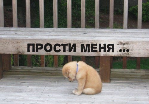 Открытки прости любимая юленька
