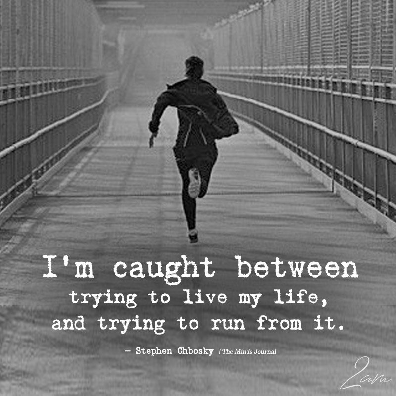 TheMindsJournal's tweet photo. I’m Caught Between
https://t.co/dqzu8v825U
#2am #2amThoughts #CaughtBetween #LiveLife #RunFromLife #StephenChbosky https://t.co/eLjh3sn3vT