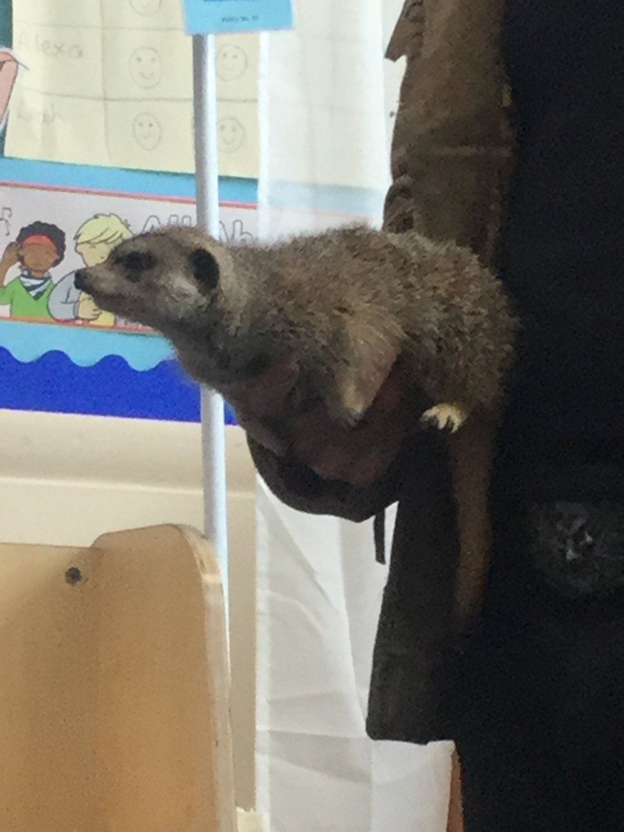 CPAMissLister's tweet photo. What a great experience and learning for the children in Morning Nursery when Animalgique came to visit us on Monday. @CroftwayPrimary https://t.co/KwTlySyglx