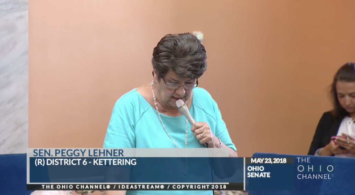 OhioSenateGOP's tweet photo. Senator @peggylehner urges support of #HB438 providing greater flexibility to certain eligible school districts. https://t.co/rnuSaFhl3L
