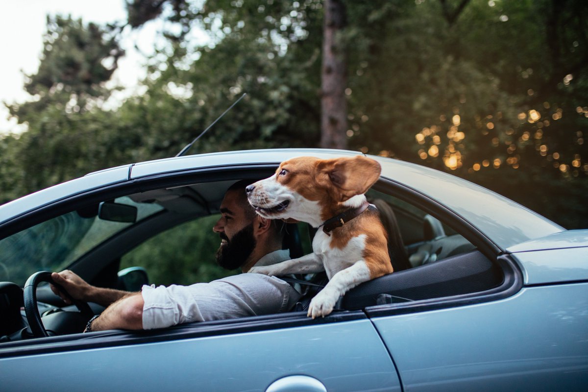 Penfed Credit Union On Twitter A1 Our Car Buying Service Is An