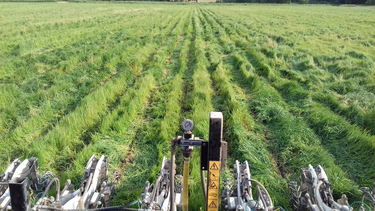 fafadesixt's tweet image. #striptil hardcore !!!