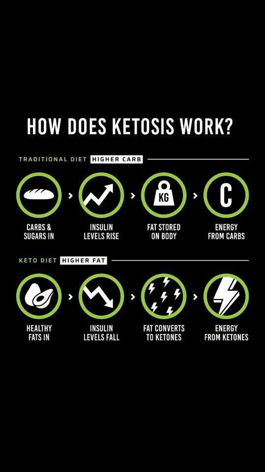 KetootSarah's tweet photo. Want to burn fat for fuel and have energy for days? Check out this free 29 page keto guide book at https://t.co/0X51ca6NEU #weightloss #ketosis #ketogenicdiet #keto #lchf #ketofood #ketonepowered #lowcarb #lchffood #ketorecipes https://t.co/vgQqdnyuB7