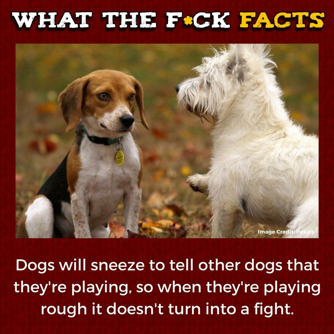 WhatTheFFacts's tweet photo. https://t.co/huGfLTini1