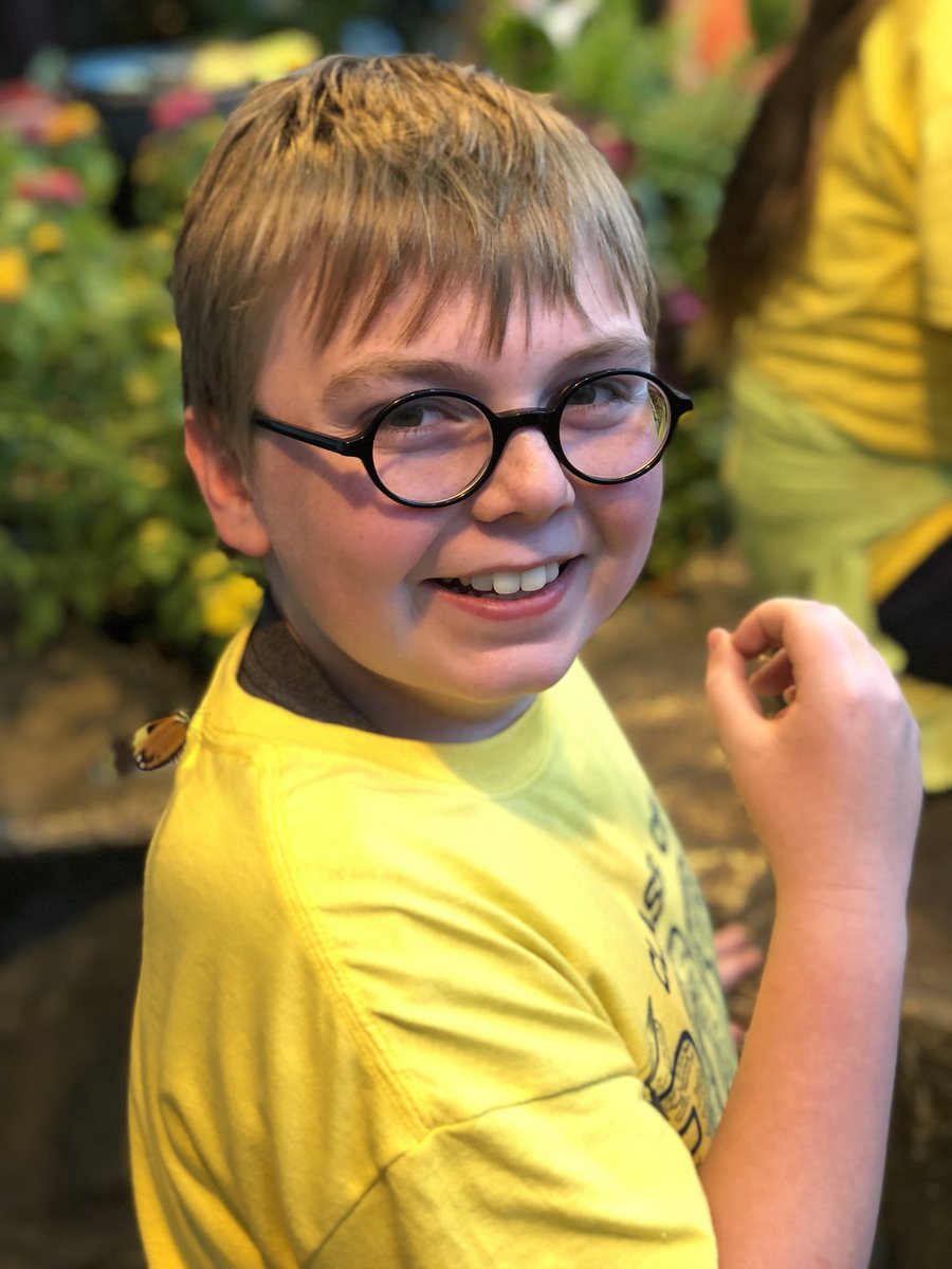 MrsCarlsonWDP's tweet photo. Two trips to the butterfly garden today @KlikaClass https://t.co/IjXvnTZcfu