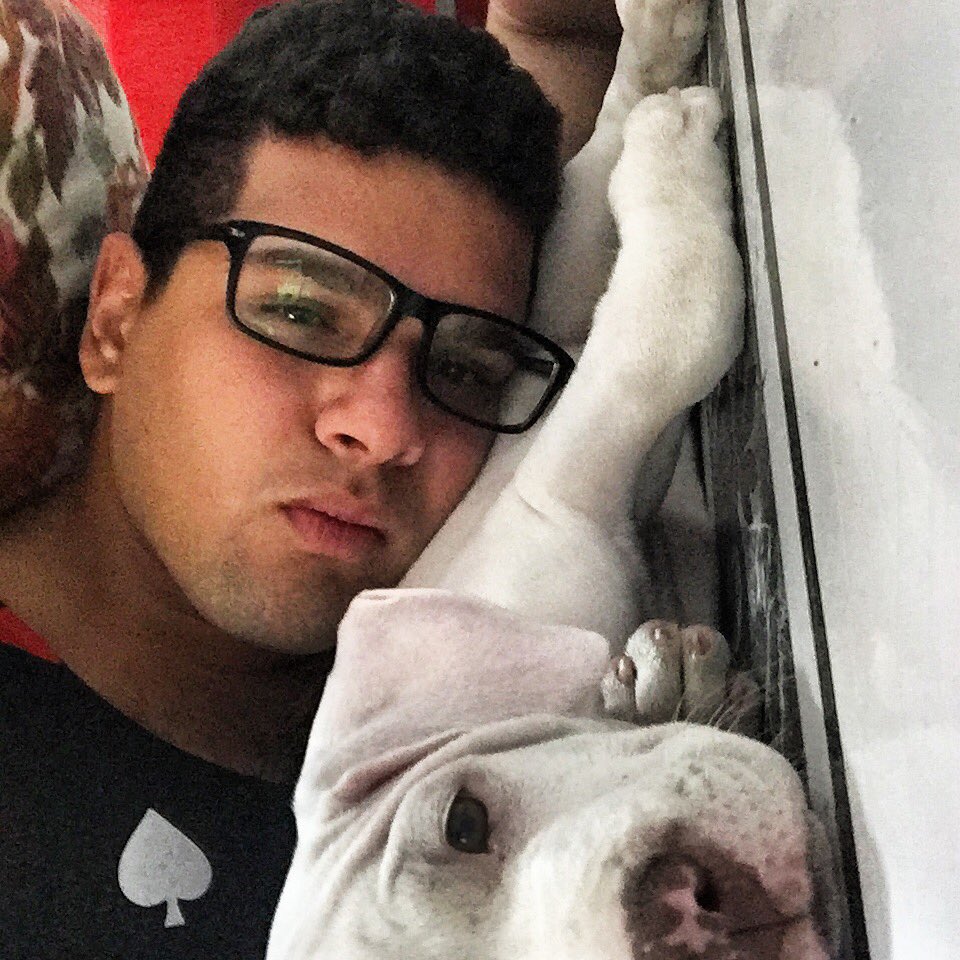 Lucas_edfisica2's tweet photo. Meu #BebeDog #Laila depois de um bainho é um rolé... #MeuPet #Pet #Dog #021 #l4l #follow4follow #rolezinho https://t.co/GxYwpiK495