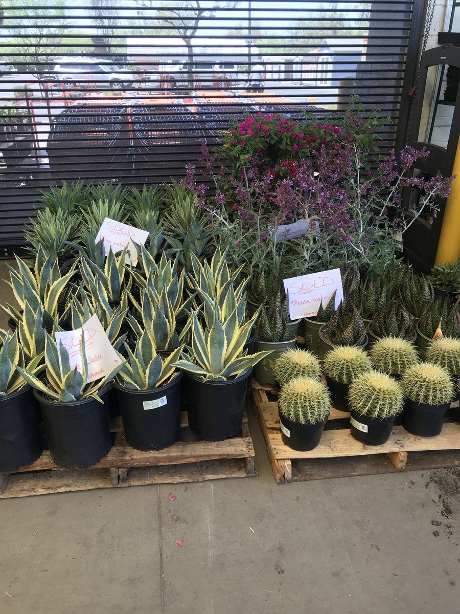 NagyAndrew's tweet photo. Awesome Job Team #THD415 Huge live goods sale @D66ClayB @Timateo22 @BobMisner1 https://t.co/CRrKZsy6n3