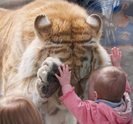 "Chacun se dit ami,mais fou qui s'y repose.
Rien n'est plus commun que ce mot,
rien n'est plus rare que la chose."

Jean de la Fontaine