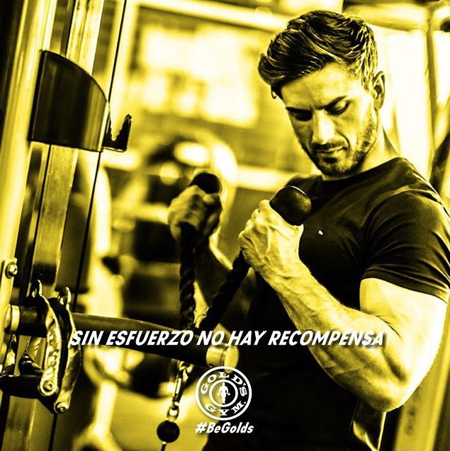goldsgymec's tweet photo. Para ver resultados no existen secretos... esfuérzate y siéntate a ver las recompensas 💪🏻😎 a entrenar! . . #Begolds #BeGym #NoExcusas #Fitness #NoPainNoGain #fitness #fitnessmotivation #gym #gymmotivation https://t.co/wgdpuRU9v4