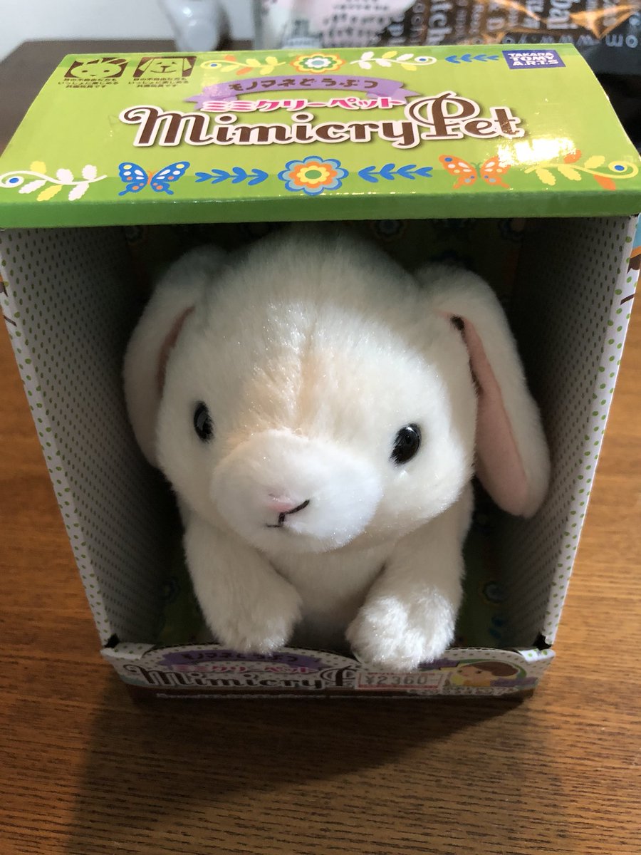 みさ 女装男子 Twitter પર 喋ると真似するうさぎのぬいぐるみ買いました 実は動物のぬいぐるみが結構好きなんですよね 名前は ポチにしました ウサギなのにポチ 笑 みさ 女装男子 Twitter પર 喋ると真似するうさぎのぬいぐるみ買いました 実は動物のぬいぐるみが結構好きなんですよね 名前は ポチにしました ウサギなのにポチ 笑