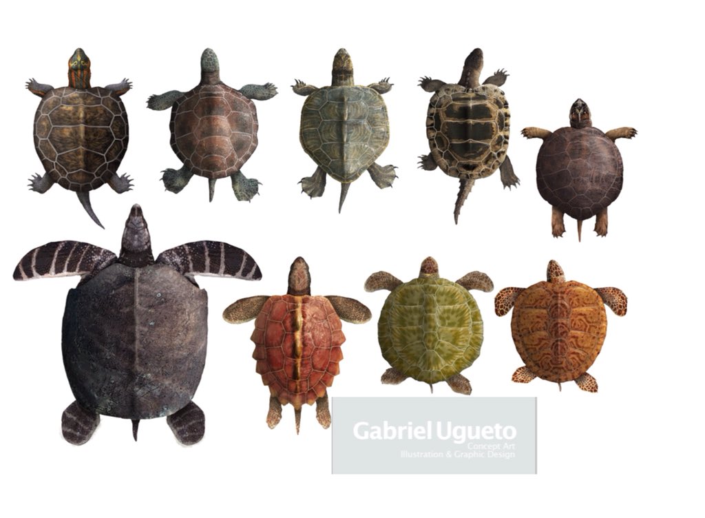 Gabriel N U Oh Today Is Worldturtleday So Here Are Some Reconstructions I Ve Done Of Jurassic And Cretaceous Turtles Kayentachelys Notoemys Neusticemys Australochelys Chedighaii Archelon Calcarichelys Porthochelys And