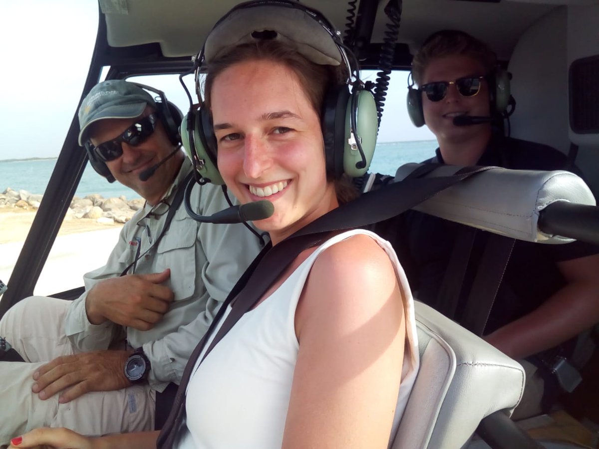 arubahelitours (@arubahelitour) on Twitter photo 