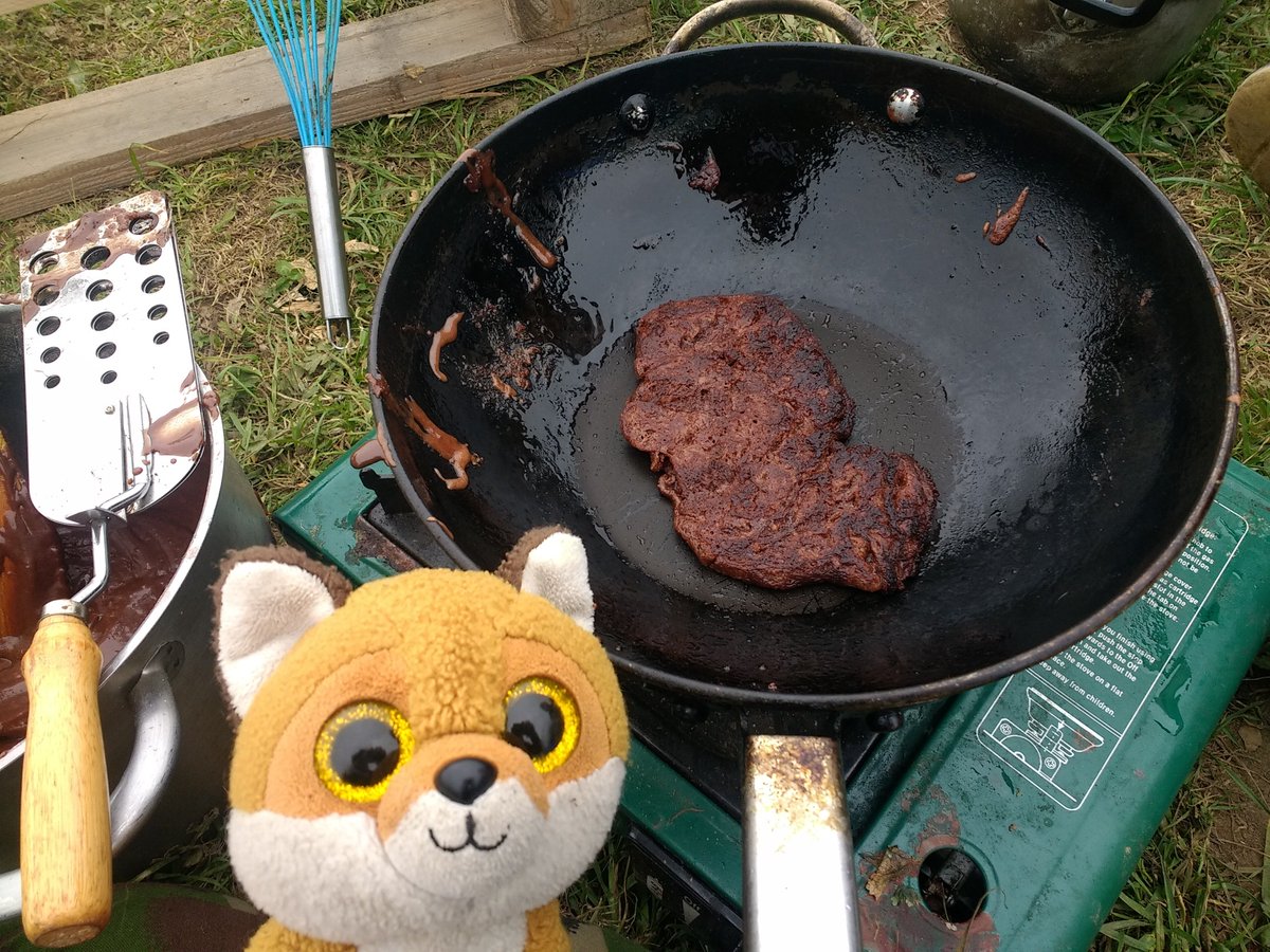 BasTheFox's tweet photo. The gloop became pancakes that look disturbingly like steak π€ #BakingWithBas https://t.co/BxVMUDwGuI
