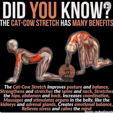 activeXbacks's tweet photo. Your #back #benefits from doing #yoga #stretches, and other parts of yourself too, like your #breathing, #stress levels, etc! Invest on you and follow a way of staying active that suits you. Yoga is only one of them! :) #Happybacks #ActiveXbacks https://t.co/jR2qEC3MbE