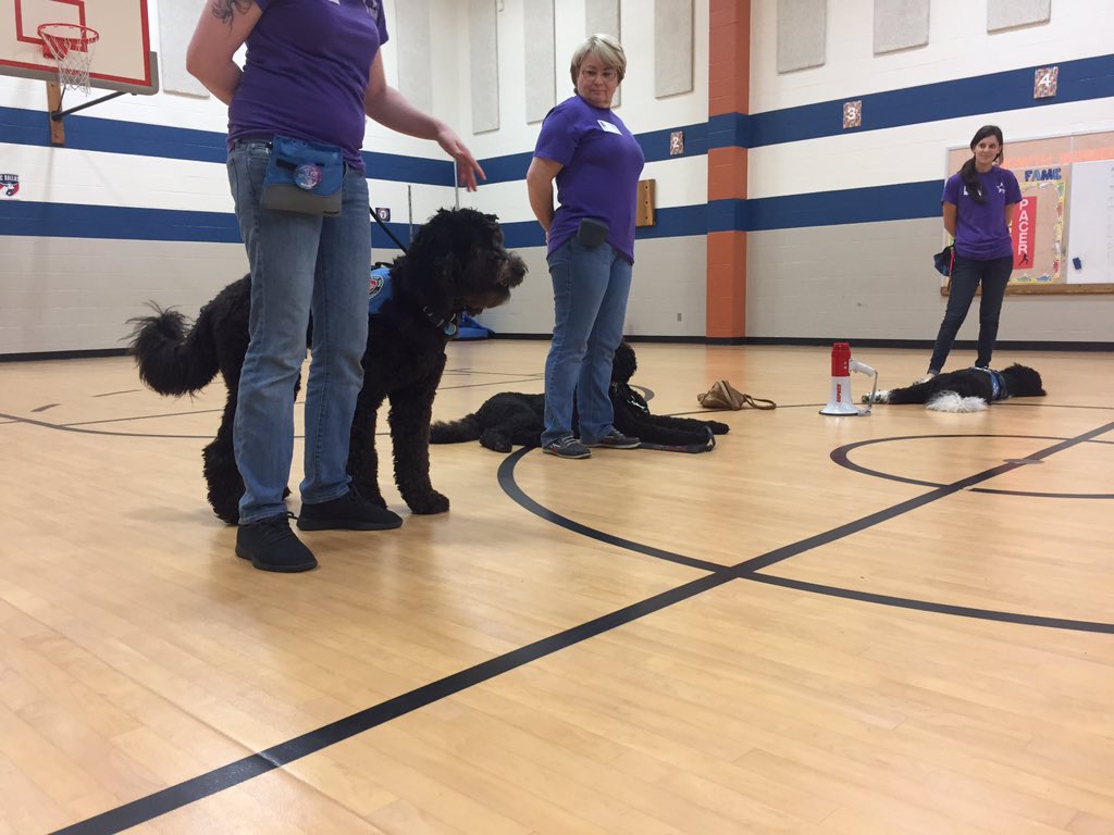 DiagHoward's tweet photo. Career Day is fun when you get to hang with some sweet pups! #OCT4U https://t.co/3KBdDAswCx