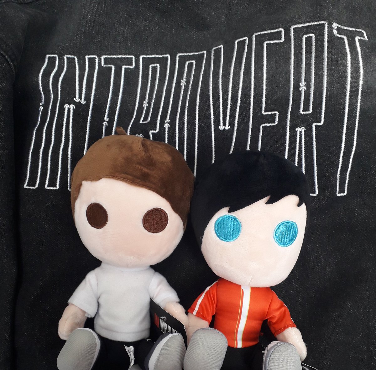 introverteddan's tweet image. ❤ I ended up going to the show on the 22nd guys, a friend of mine went with me so I wasnt so terrified! Ahh! I may not of got to meet @danielhowell and @AmazingPhil but it was still the best day ever ❤ I got the jacket and the plushies. #interactiveintroverts #birmingham