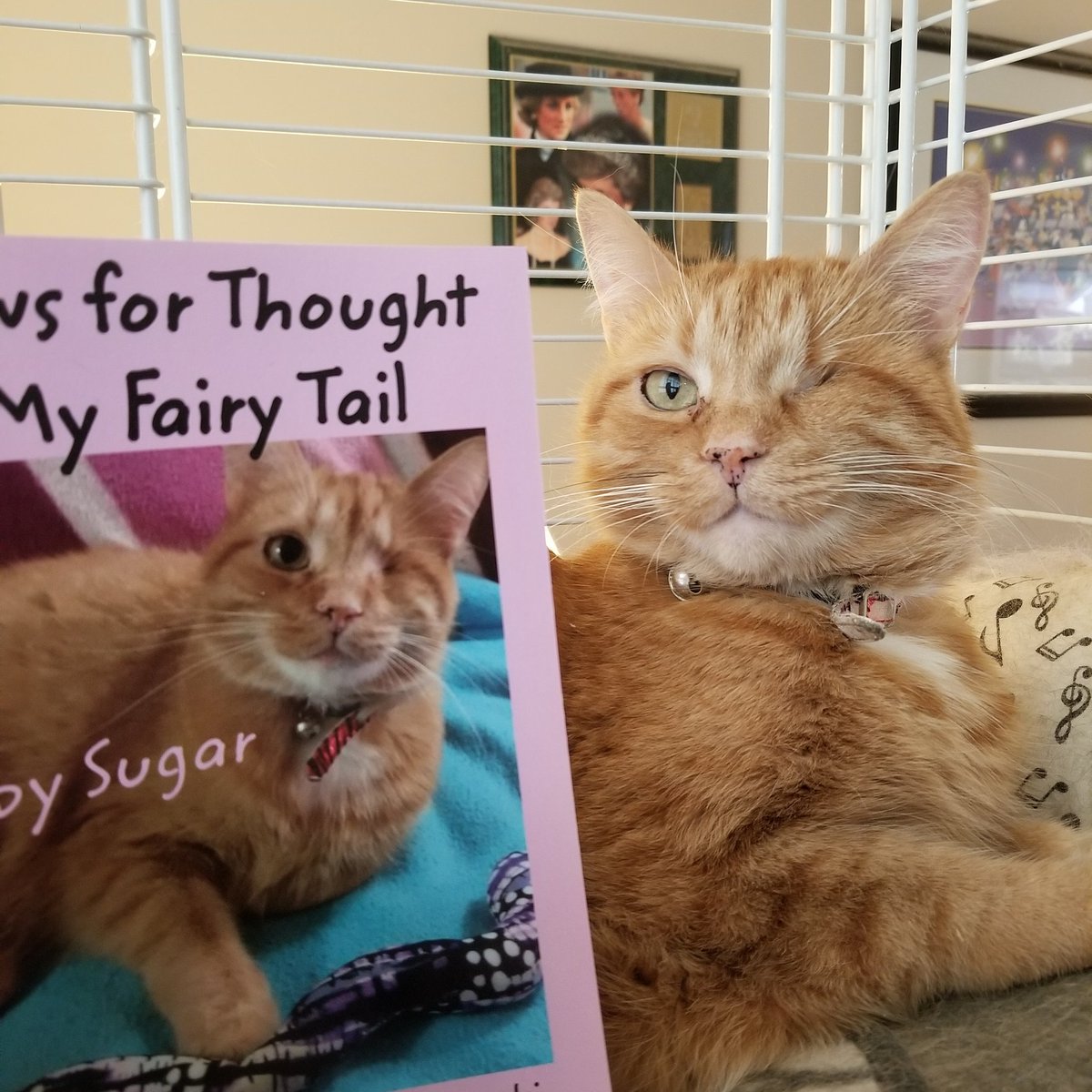 My latest project. I'm now a self-published author! My beautiful girl posing with her new book. ;-)