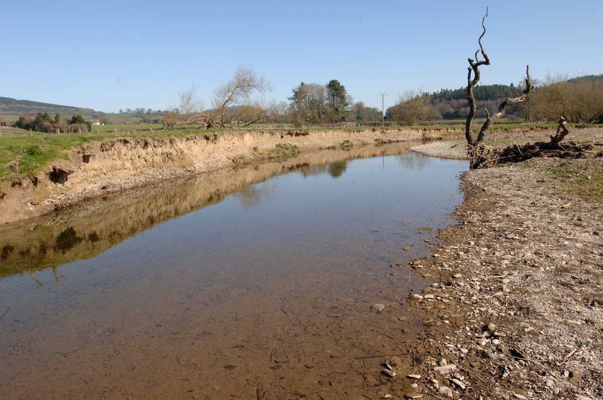 Environment Agency tweet media