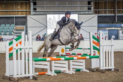 Reaseheath Equine tweet media
