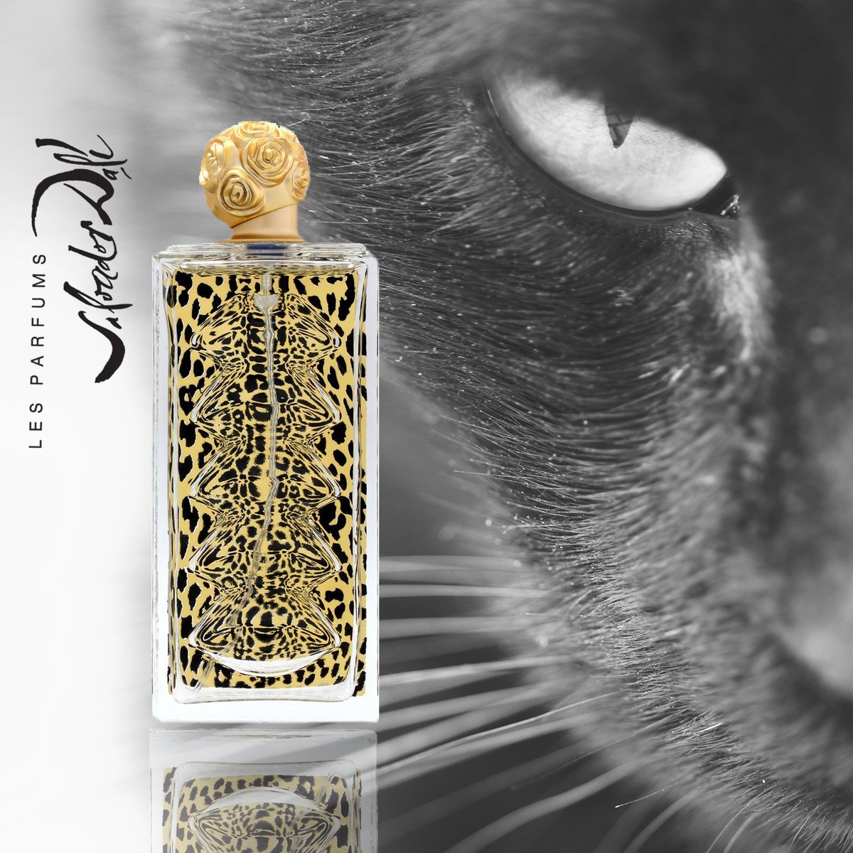 DaliPerfume's tweet photo. Dali Wild
عطری شیک و پر ذرق و برق که نشانه یک بانوی دوست‌داشتنی،شیک و در عین حال بی‌نظیر است.گل مریم،یاس و چوب ماهون نشان قوت این رایحه است.
#عطر #سالوادور_دالی #ادوکلن #هنرمند_اسپانیا #salvador_dali https://t.co/kEz6EO08Yr