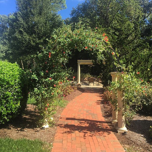 Rizzo Center tweet media