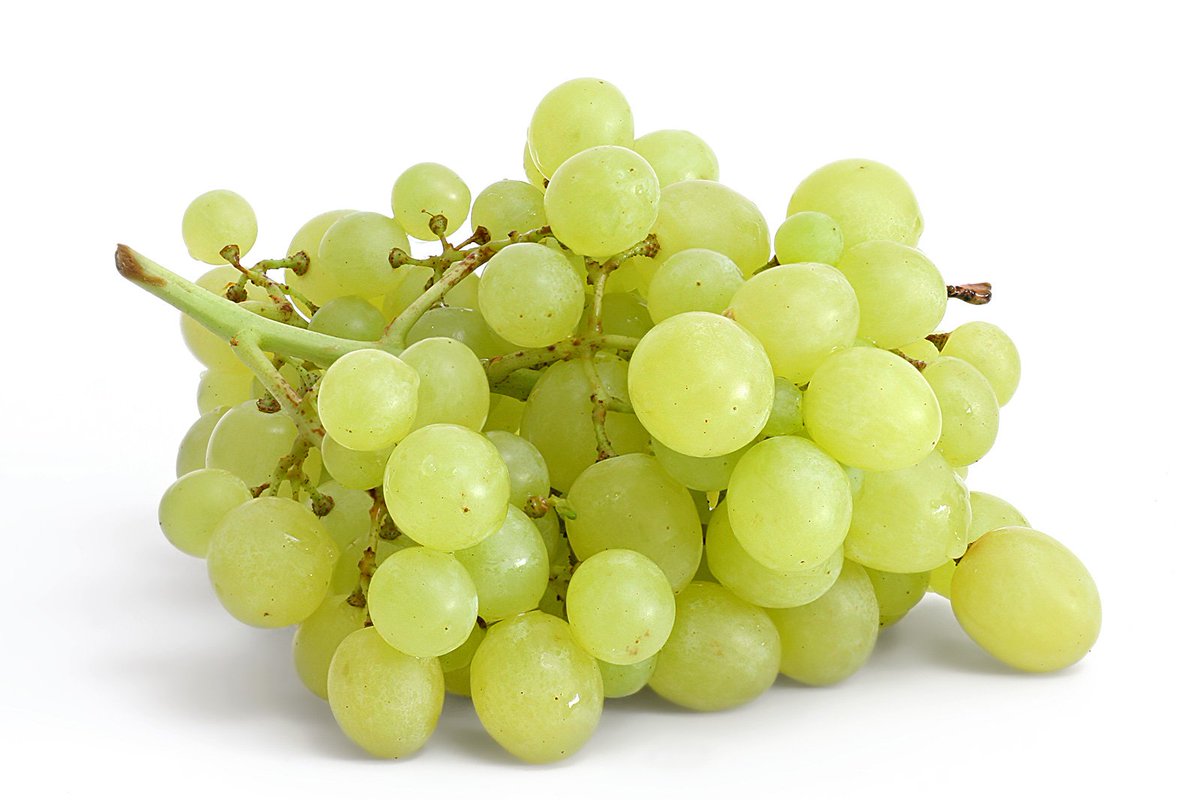 theltic__'s tweet photo. Grapes https://t.co/2VK5ApcRLb