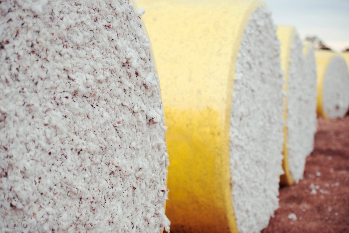 BNBX_Corp's tweet photo. Australian Cotton Set for Greater #Transparency Thanks to #DNATagging https://t.co/4ZIzjptsAH @SourcingJournal @WeAreLDC #traceability https://t.co/VSLVL9WJNN