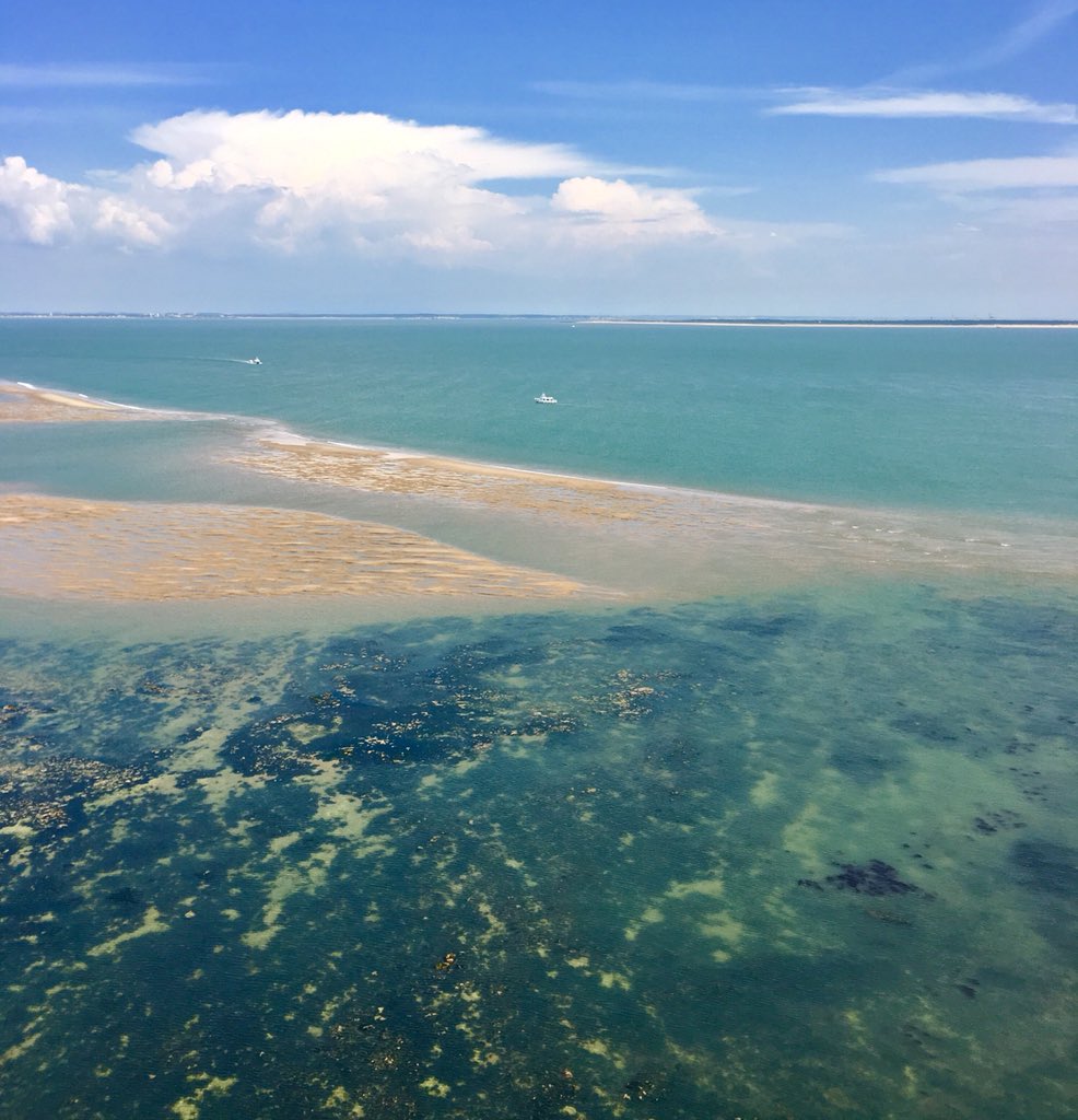 medocatlantique's tweet image. Bienvenue @medocatlantique ! Grand gagnant du #battleplage en haut du Phare de Cordouan 🤗😉🏖