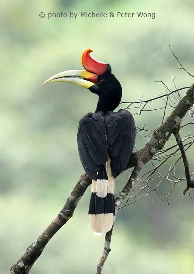 download Krankheit als Projekt angehen: Schwere Gesundheitsprobleme als