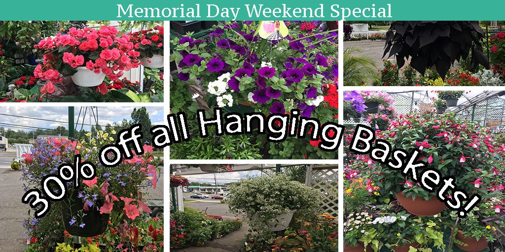 Hampton Nursery (hampton_nursery) Twitter