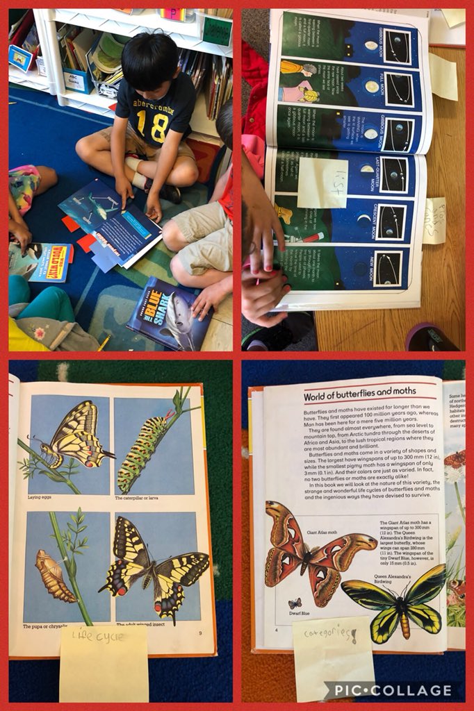 MrsHeld_TU's tweet photo. Nonfiction book clubs looking for text structures!#Troyunion #onetroy https://t.co/A2hfEJpz6q