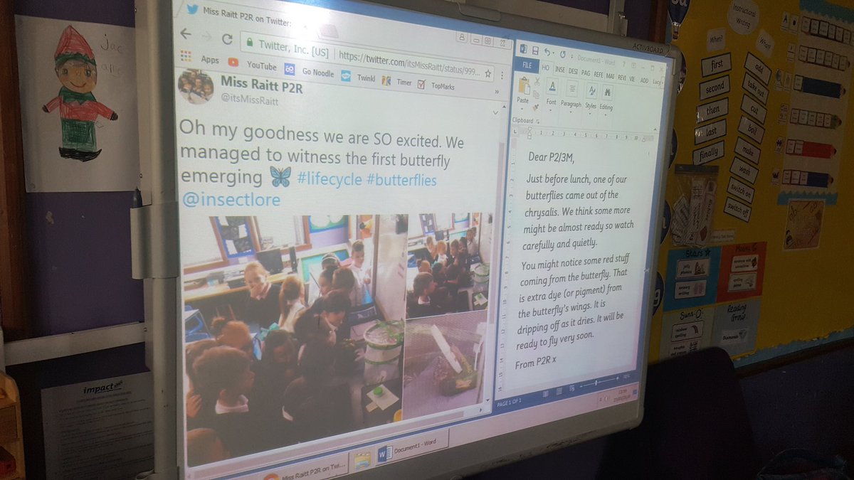 bps_MissMcC's tweet photo. Thank you for the letter and the answers to our questions @itsMissRaitt and P2R. Our class thought it was fun you to leave us a letter, so we had to write a reply! It was like being penpals! @bannps  #minibeasts https://t.co/YVmWZsPVkZ