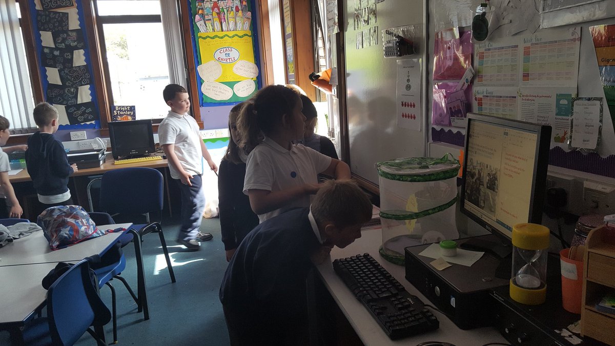 bps_MissMcC's tweet photo. Thank you for the letter and the answers to our questions @itsMissRaitt and P2R. Our class thought it was fun you to leave us a letter, so we had to write a reply! It was like being penpals! @bannps  #minibeasts https://t.co/YVmWZsPVkZ