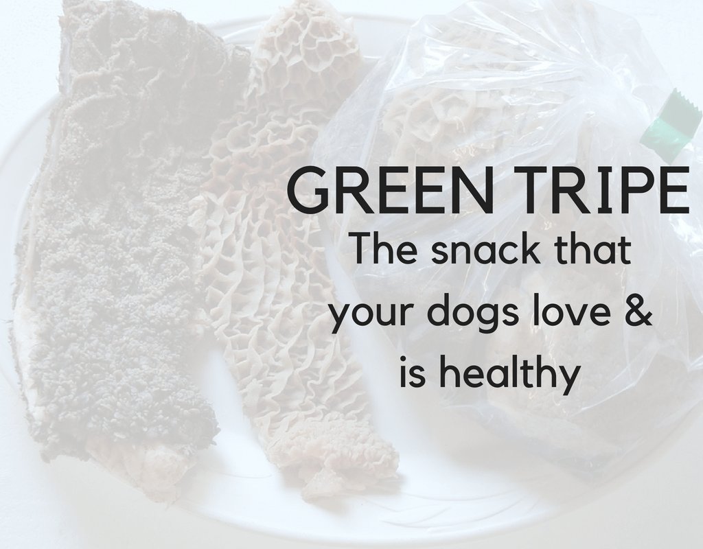 WalkWthThePack's tweet photo. Tripe; absolutely stinks so why do dogs love it and why is it so good for them? https://t.co/DVHn8152T8 https://t.co/aYoqgp1bI2