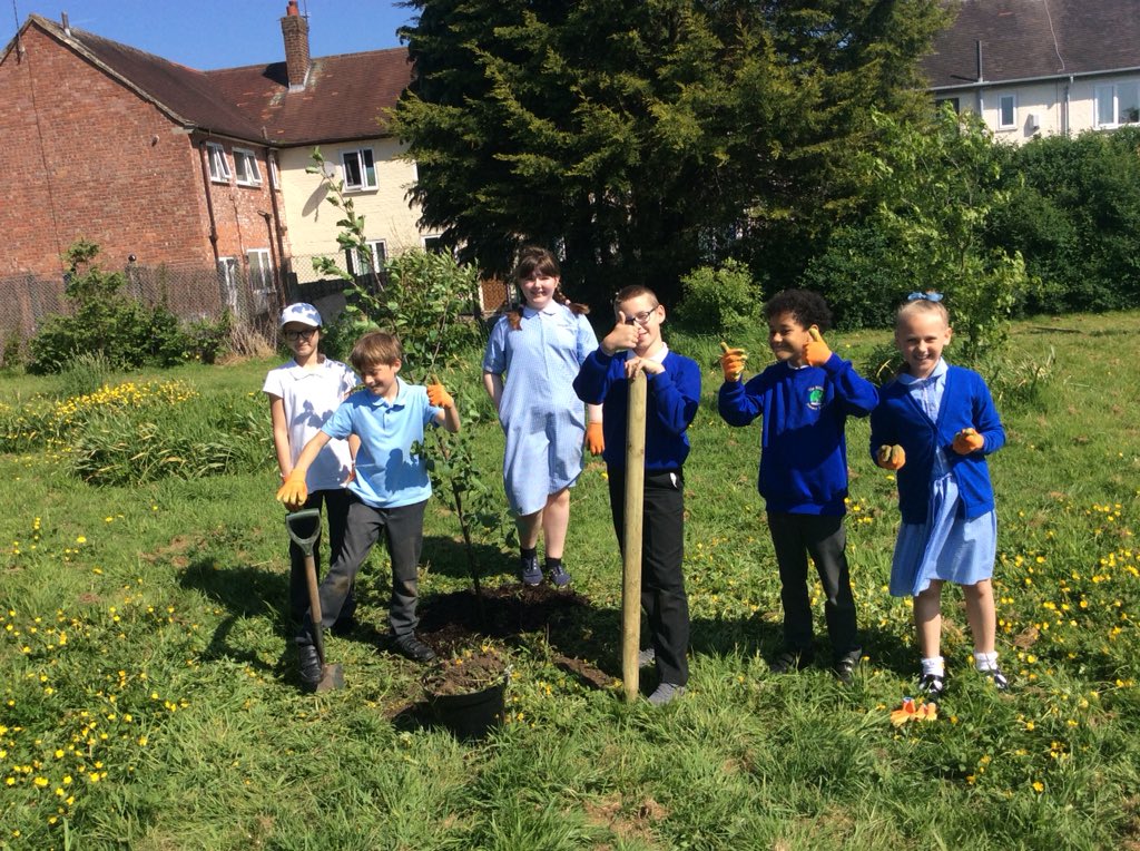 WillowsM22_Y5's tweet photo. @TheWillowsM22 #22trees for the #ManchesterArena victims planted with @CityofTreesMcr @mcr_charity https://t.co/icUQ2aohVT