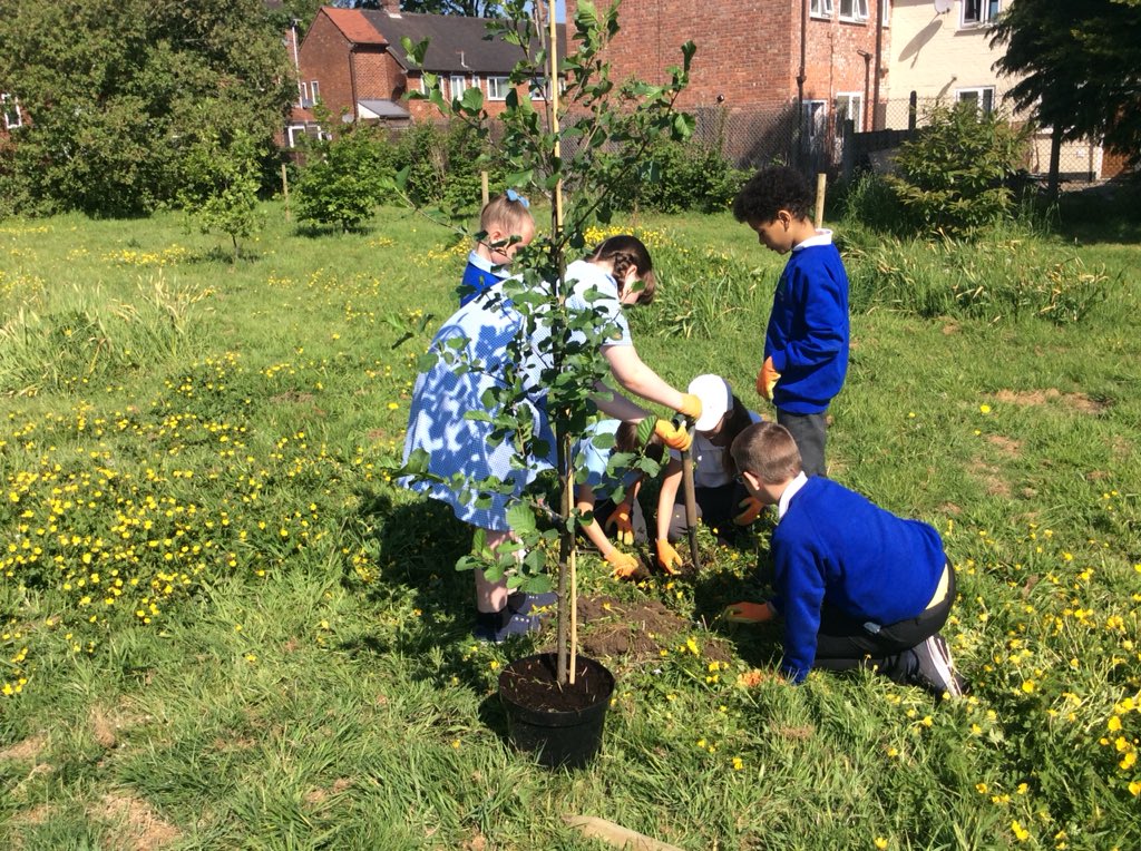 WillowsM22_Y5's tweet photo. @TheWillowsM22 #22trees for the #ManchesterArena victims planted with @CityofTreesMcr @mcr_charity https://t.co/icUQ2aohVT