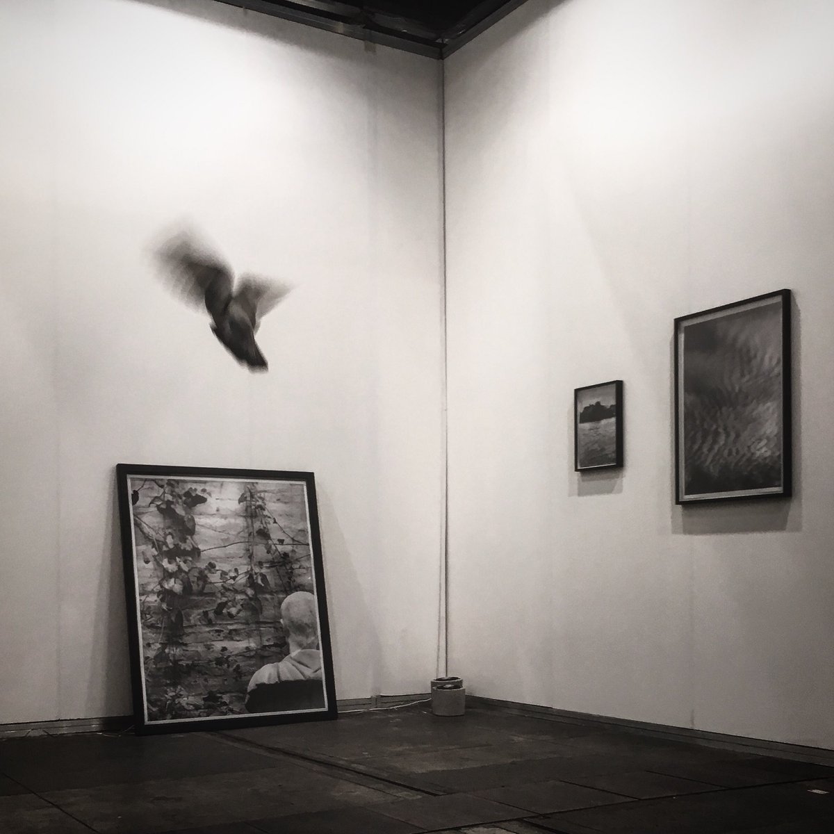 denesfarkas's tweet photo. @arteBA opening today. @Alarcon_Criado #BuenosAires https://t.co/eRa8onRIyW