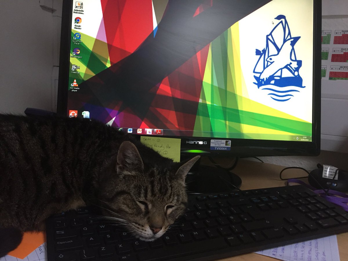 ClaireSmith_42's tweet photo. After a busy day @TVInfants Iโm being told to turn off the #computer and head out into the awful traffic on #BastableAvenue #barking @TfLTrafficNews #CatsOfTwitter #timetogohome #enoughforoneday nite all see you tomorrow ๐ https://t.co/iZ6wdEBP5R