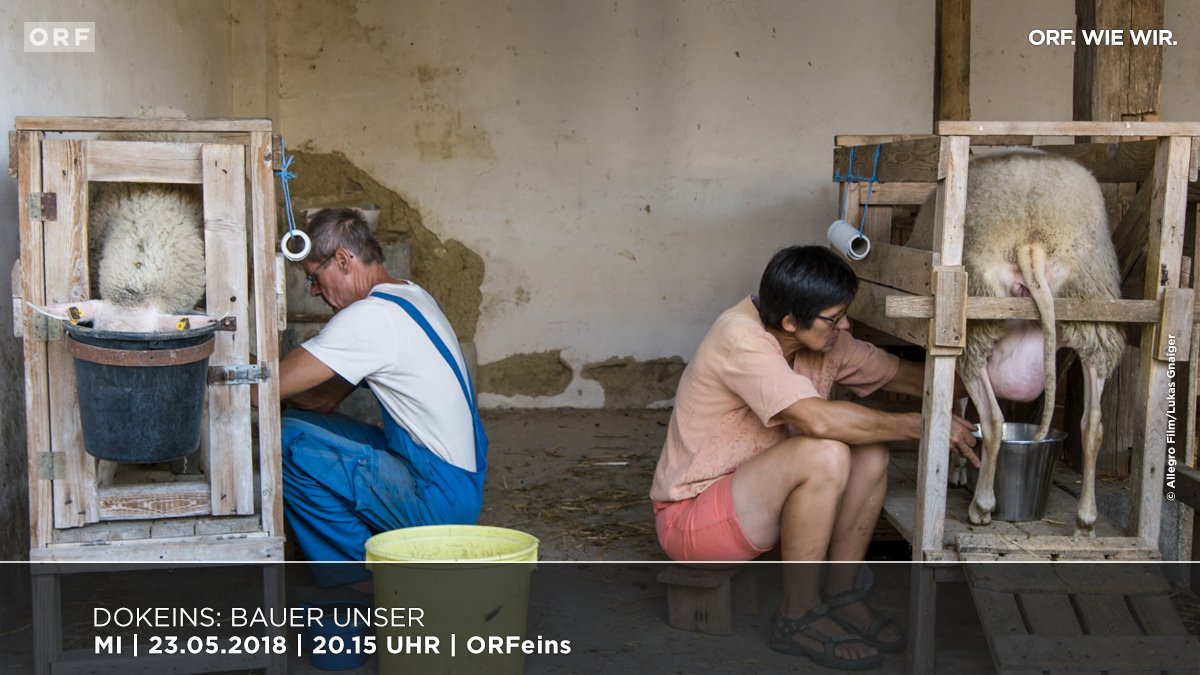 Einst ein stolzer Stand, heute ohne wirtschaftliche Perspektive? #DOKeins-Premiere für #ORF-kofinanzierten Kinoerfolg "Bauer unser" über die Zukunft der Landwirtschaft. Zum #ORF-Schwerpunkt "MUTTER ERDE - Schau, wo dein Essen herkommt!" um 20.15h. 
tv.orf.at/program/orf1/2…